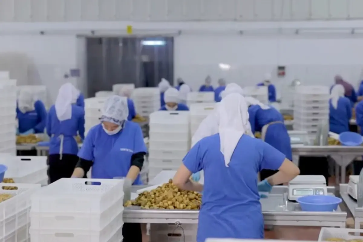 14 ulkeye ihracat yapan turk gida devi konkordato ilan etti 5NIWy1UQ