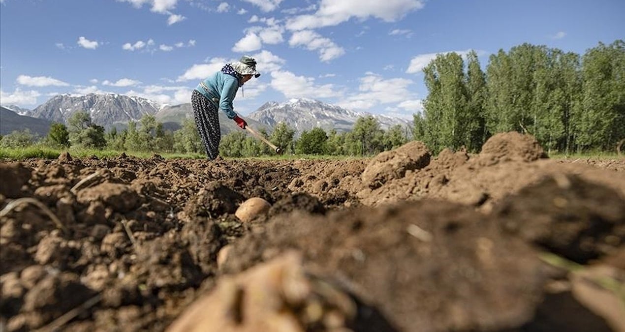 ciftcilerin hesabina bugun 45 milyar liralik destek aktarilacak OcBAztLO
