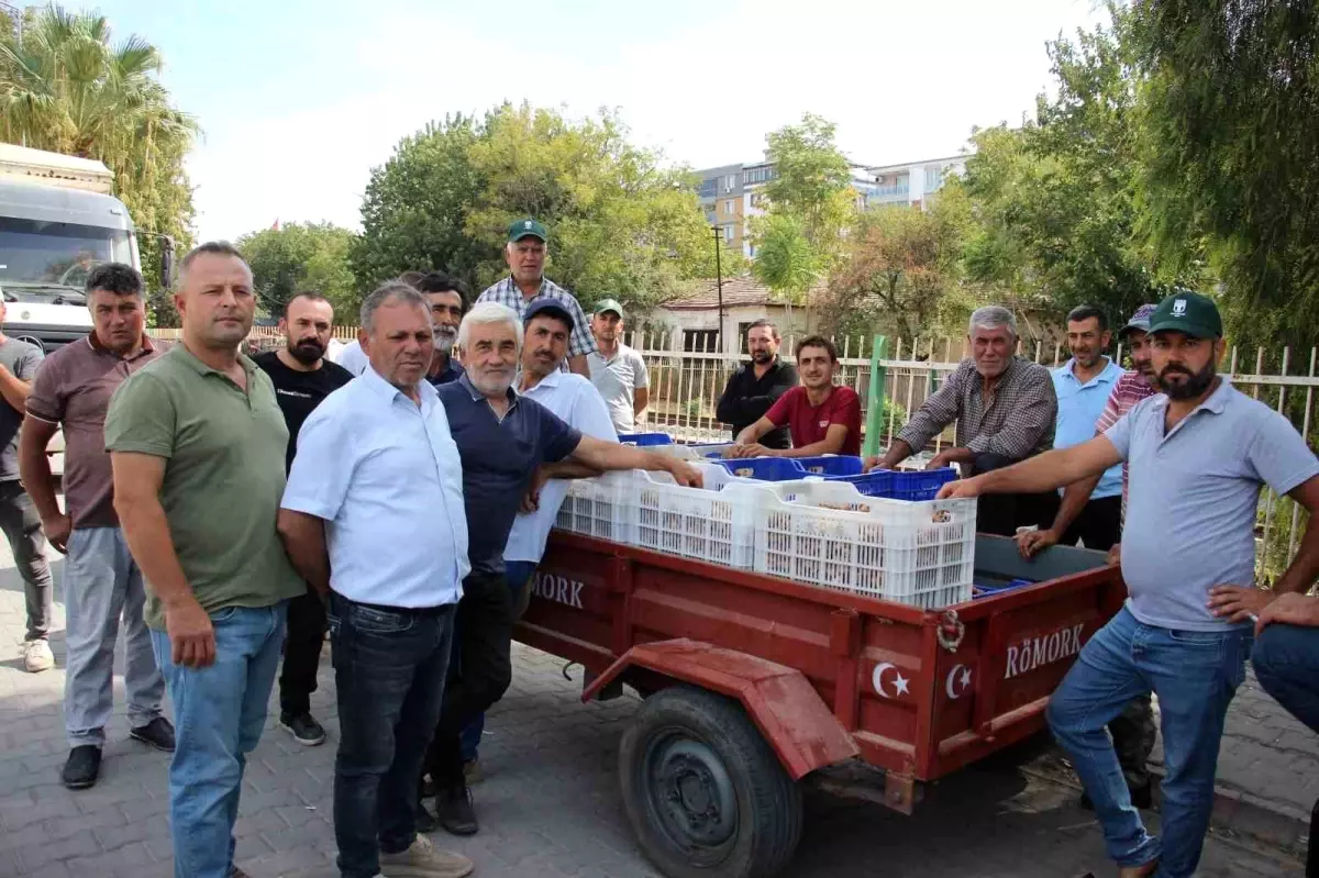 incir alimlari tuccar sorunu nedeniyle durduruldu UYH4W1P1