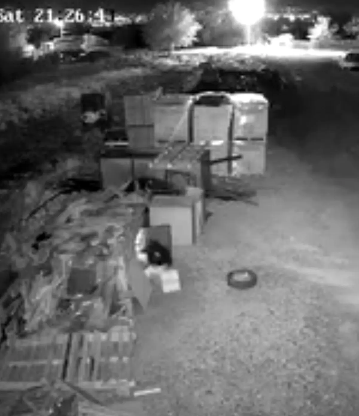 elazigda guvercin hirsizligi guvenlik kamerasinda uugxhECR.jpg