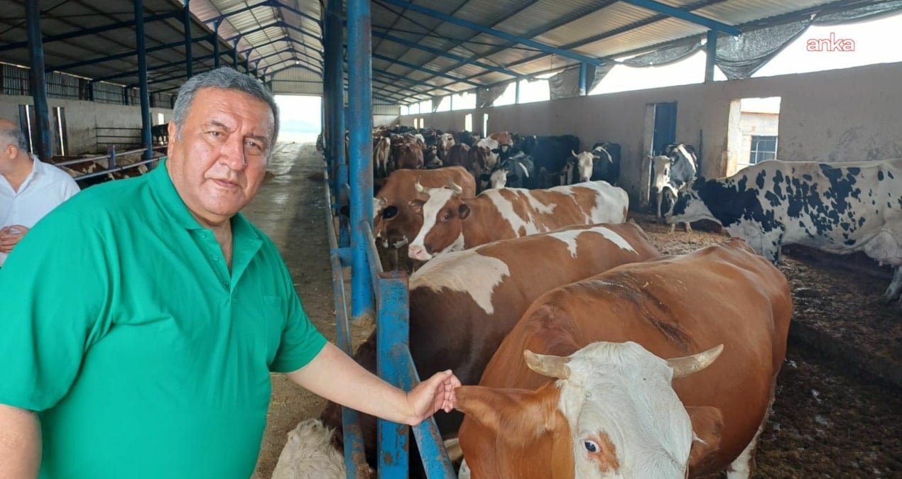 gurer et fiyatlarina isyan etti uretici degil ithalat kazaniyor ZOWQzW2w.jpg