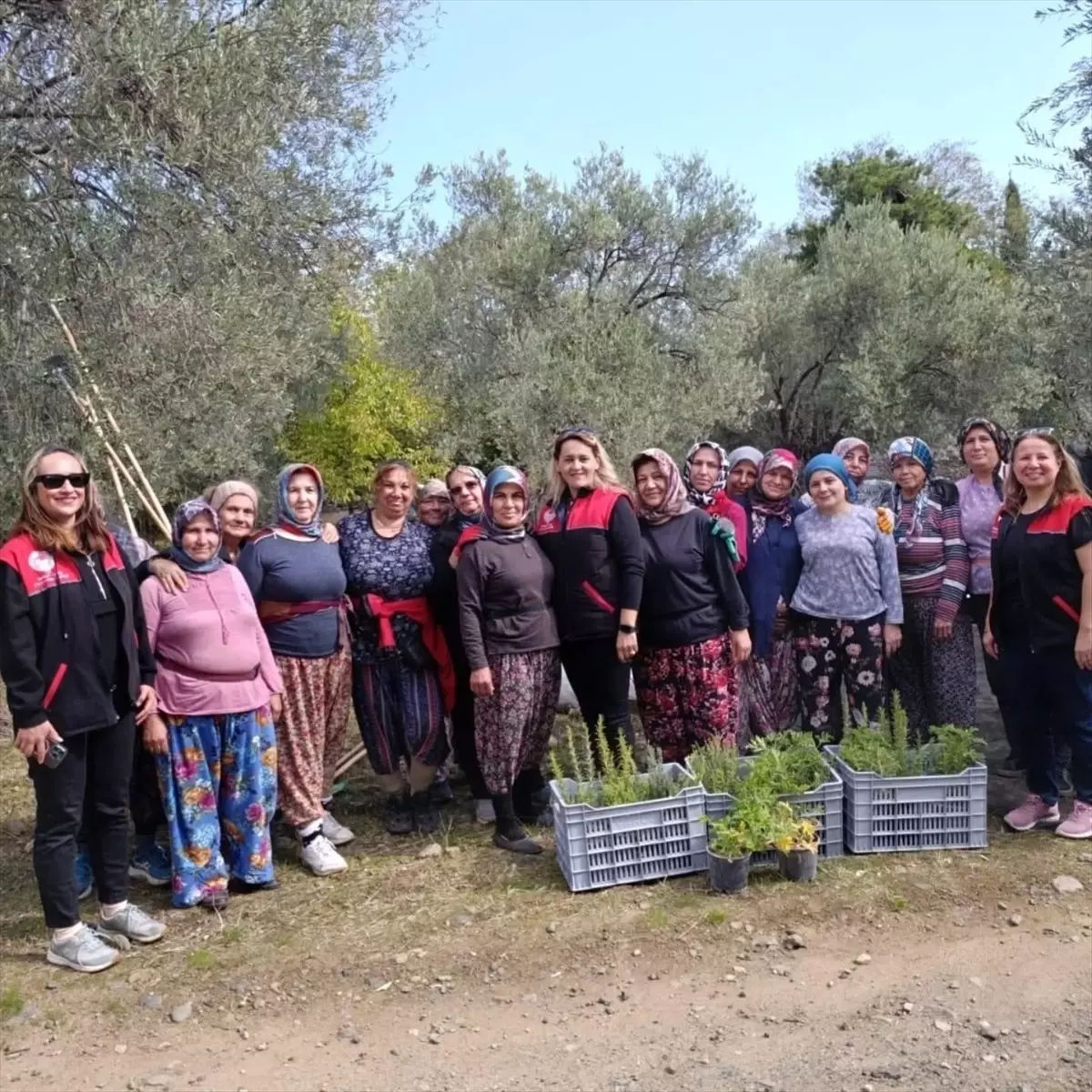 kadin ciftcilere fideler hediye edildi 7UE6RCnG.jpg