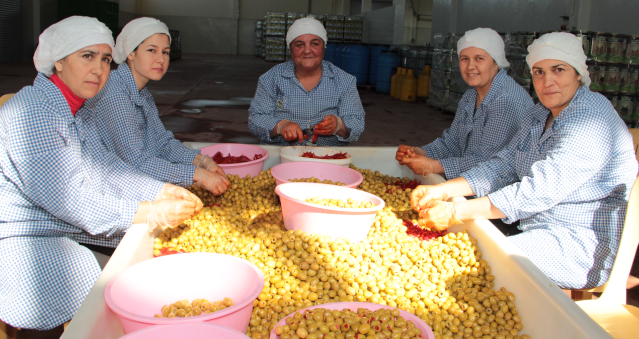 yesil zeytin ihracatinda tarihi rekor kirildi SfMd47qu