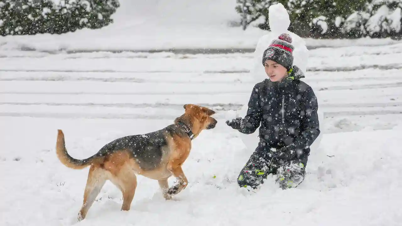 11 Şubat Çarşamba günü 6 ilde okullara kar tatili verildi –